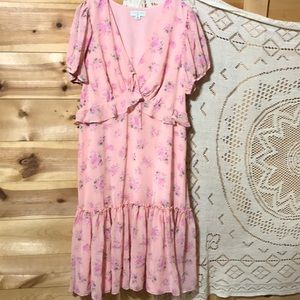 Loveshackfancy for Target pink floral ruffle dress Plus 18